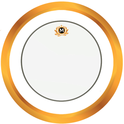 snare